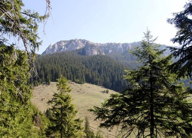 Istočni Karpati, Rumunija